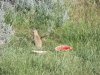 100_2229.JPG