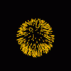 ! AA++ 1.gif