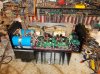 DSCN0373.jpg