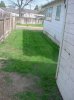 2nd mowing looks NICE.jpg