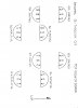 Transistors old  Q1 to Q4 orientation diagram.jpg