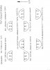 Transistors old Q1 to Q4 orientation diagram.jpg