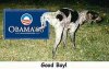 Dog peeing on Obama sign.jpg