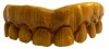 wooden teeth.jpg