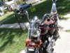 PICT0647.jpg