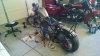 Bobber.jpg