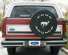 2bronco.jpg