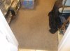 Lots of vacuuming (2).jpg