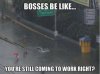 bosses.jpg