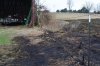 grass fire 017 (Medium).jpg