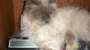 107_1791.JPG