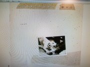 20190427_105114.jpg