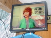 Endora it is.JPG