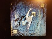 20190509_124917.jpg