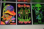 shop crapola 004 (Medium).JPG