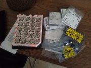 20190814_161342.jpg