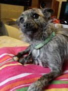 05-23-2019 Raggis Cutest Picture.jpg