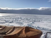 C297D5DF-7DCE-4EF8-A23E-29B110772574.jpeg