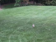 A53D0A8D-2122-47ED-BB8F-076A41DD72D3.jpeg