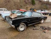 011Mike-Hall-Canadian-Junkyard-Stash.jpg