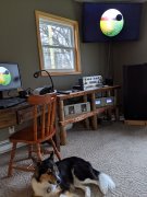 PXL_20201126_134741688.jpg