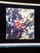 PXL_20210301_000633834.jpg