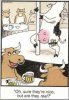 cow-cartoon.jpg