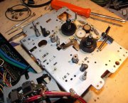 heads3.JPG heads3.JPG