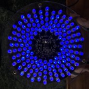 C7963E7A-9115-4DA3-A28D-9DF1CA7F83D0.jpeg
