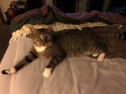 7F0066D7-5C5C-44C9-BA20-DA65E64CE8ED.jpeg