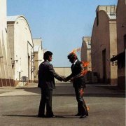 Pink Floyd wish you were here cover art.jpg