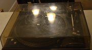 Dual 606 bad cobwebs triple lights.JPG