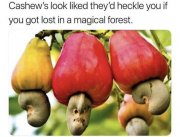 80B2D0B2-9824-4977-976E-788D7788BD34.jpeg