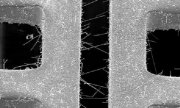 Tin whiskers between adjacent traces (large).jpg