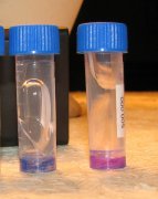 Silicone Fluid Flow.jpg
