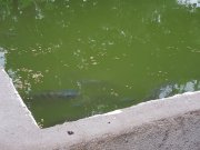 20190807_170109.jpg