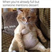 A81E0181-3600-4F6E-A0C0-AF26DA3F9D44.jpeg