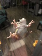 IMG_5530.JPG