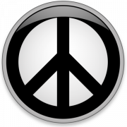 1659050216071.png