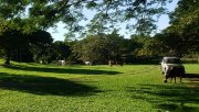 20220817_074234.jpg