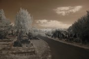 DSC_0014.JPG