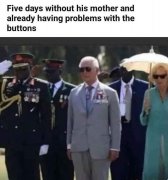 prince.jpg