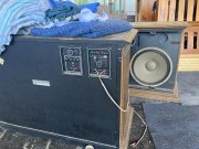 IMG_0901.JPEG