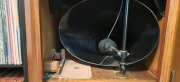 Edison Horn 3.jpg