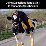 juliecanabischevaux.jpg