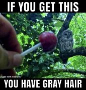 17CBB281-C668-495C-929E-CEF795A60CD5.jpeg