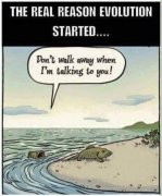 FB_IMG_1676548424484.jpg