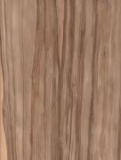 red gum.jpg