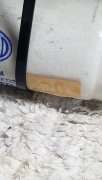 20230316_115256.jpg