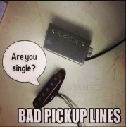 IMG_8457.jpeg
